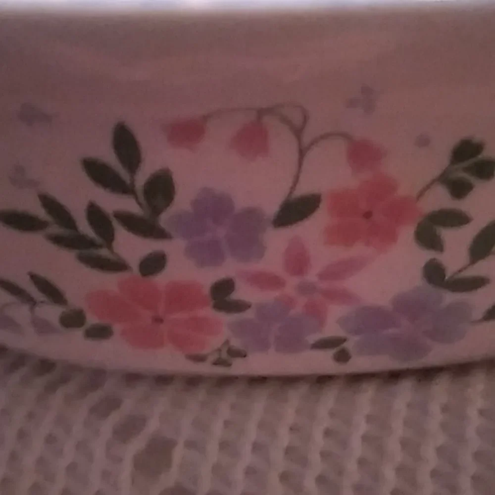 Divided Ovenware Dish